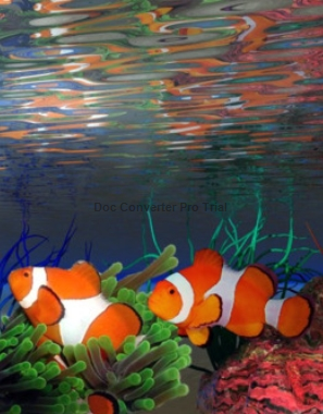 http://img-fotki.yandex.ru/get/3106/dima-kleshhenkov.0/0_365d_87a0ed5a_XL